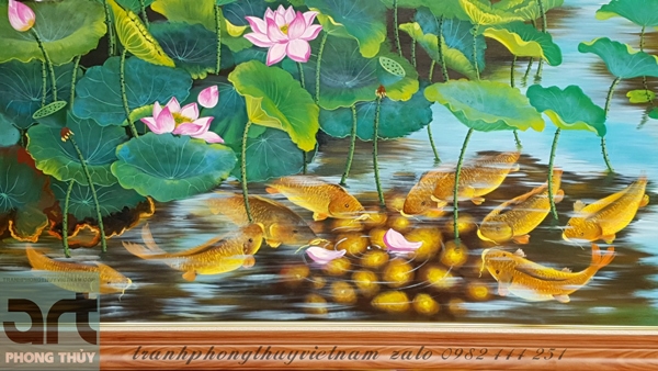 9 chú cá chép đang quây quần trong đầm hoa sen