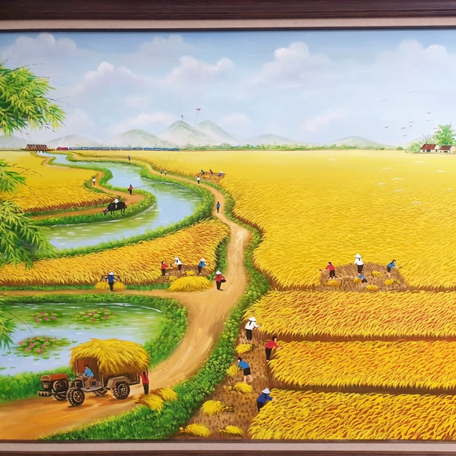 cảnh thu hoạch lúa của bà con nông dân