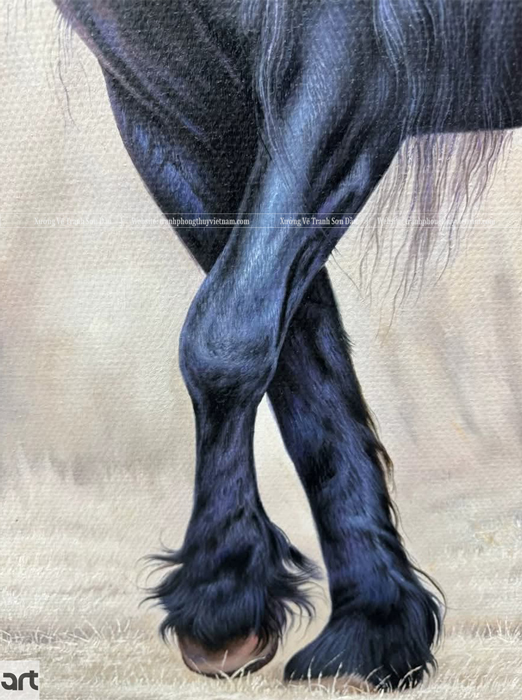Chi tiết chân ngựa Friesian trong tranh phong thủy Hắc Mã sơn dầu vẽ tay, nổi bật với lớp lông dài và dáng chân khỏe khoắn trên nền xám Chi tiết chân ngựa Friesian trong tranh phong thủy Hắc Mã sơn dầu vẽ tay, nổi bật với lớp lông dài và dáng chân khỏe khoắn trên nền xám